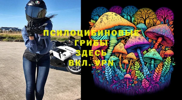 ГАЛЛЮЦИНОГЕННЫЕ ГРИБЫ Горнозаводск
