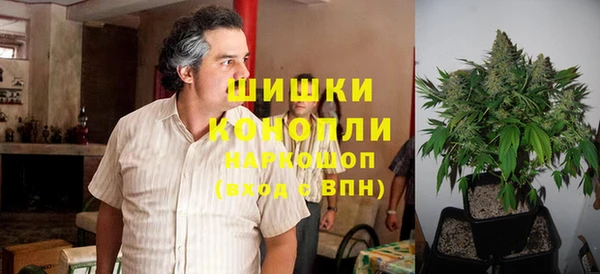 ГАЛЛЮЦИНОГЕННЫЕ ГРИБЫ Горнозаводск