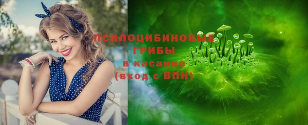 ГАЛЛЮЦИНОГЕННЫЕ ГРИБЫ Горнозаводск