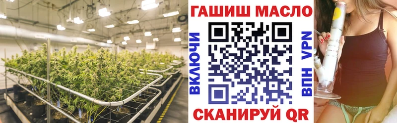 сколько стоит Моршанск ТГК концентрат