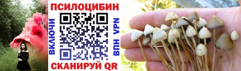Псилоцибиновые грибы Cubensis  хочу наркоту  Моршанск 