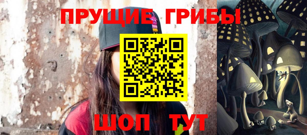 Псилоцибиновые грибы Magic Shrooms  Моршанск  продажа наркотиков  Псилоцибиновые грибы MAGIC MUSHROOMS 