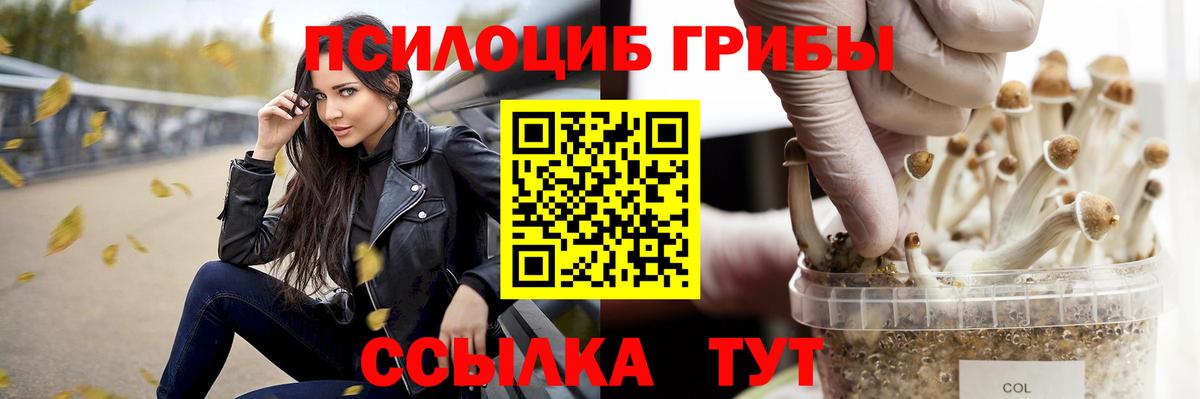 Псилоцибиновые грибы Psilocybine cubensis Моршанск